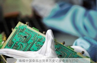 海辉中国食品出货单历史记录查询与打印