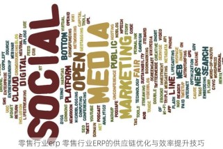零售行业erp 零售行业ERP的供应链优化与效率提升技巧