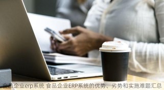 食品企业erp系统 食品企业ERP系统的优势、劣势和实施难题汇总