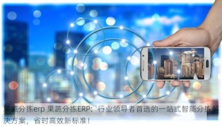 果蔬分拣erp 果蔬分拣ERP：行业领导者首选的一站式智能分拣解决方案，省时高效新标准！