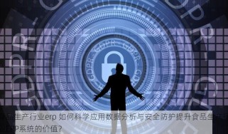 食品生产行业erp 如何科学应用数据分析与安全防护提升食品生产行业ERP系统的价值？