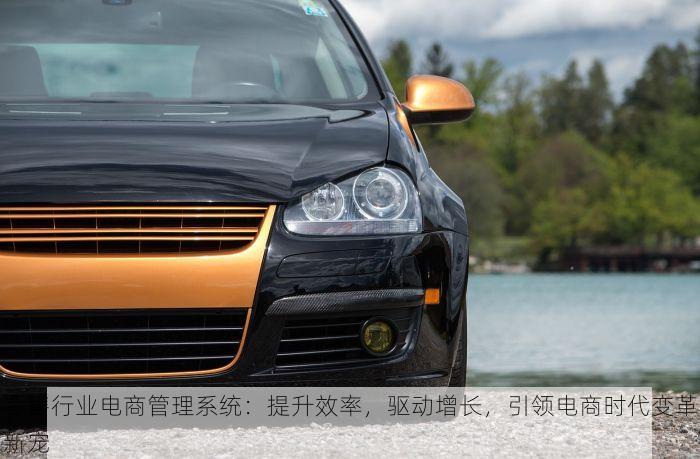 零售行业电商管理系统：提升效率，驱动增长，引领电商时代变革新宠