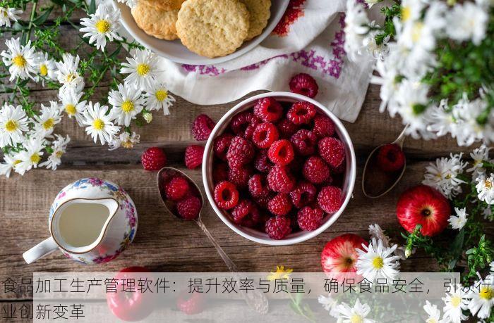 食品加工生产管理软件：提升效率与质量，确保食品安全，引领行业创新变革