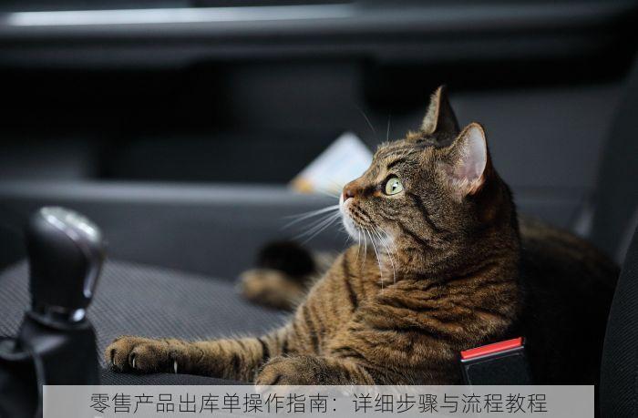 免税零售erp软件 免税销售ERP软件：助你事半功倍，畅销国内外