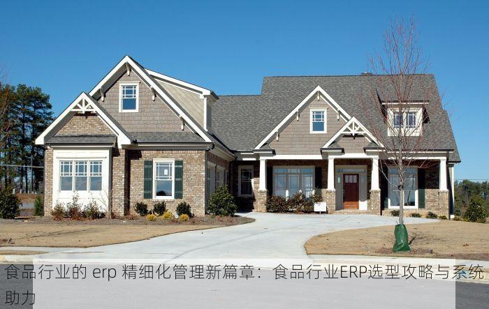 食品行业的 erp 精细化管理新篇章：食品行业ERP选型攻略与系统助力