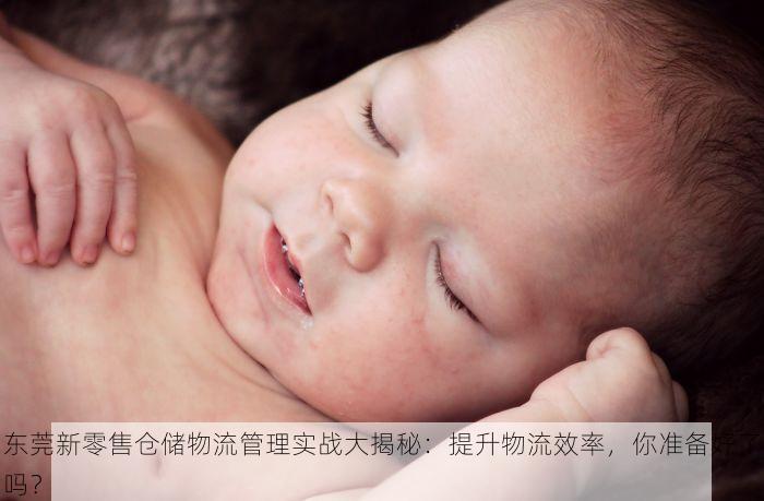 东莞新零售仓储物流管理实战大揭秘：提升物流效率，你准备好了吗？
