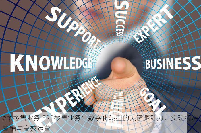 erp零售业务 ERP零售业务：数字化转型的关键驱动力，实现精准营销与高效运营