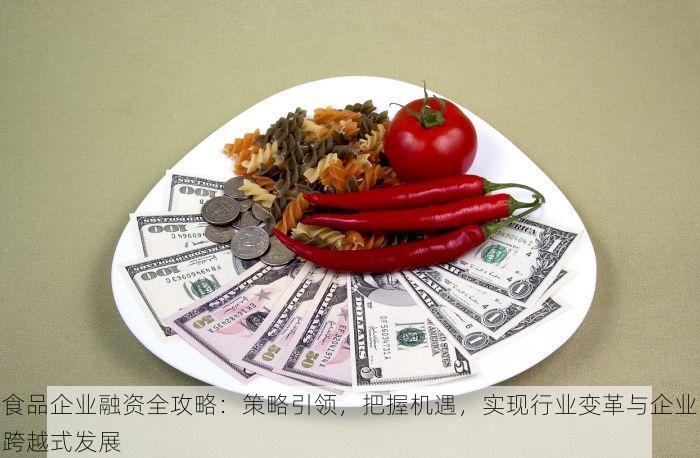 食品企业融资全攻略：策略引领，把握机遇，实现行业变革与企业跨越式发展