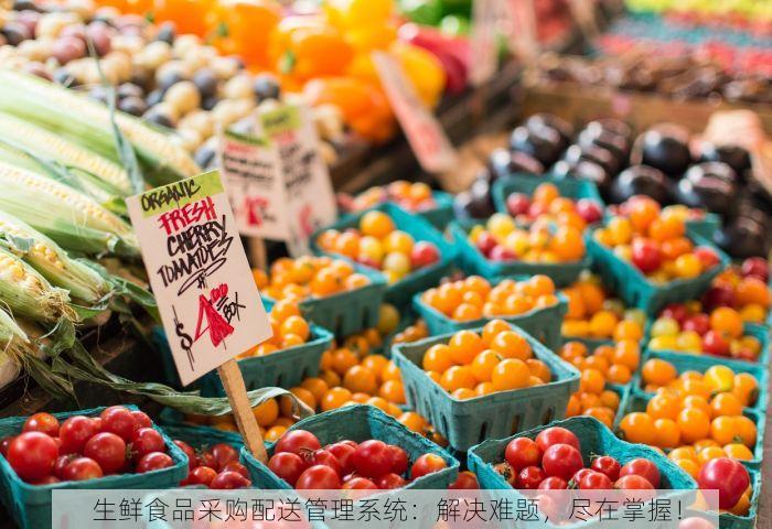 生鲜食品采购配送管理系统：解决难题，尽在掌握！