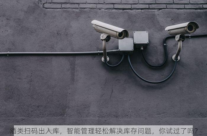 酒类扫码出入库，智能管理轻松解决库存问题，你试过了吗？