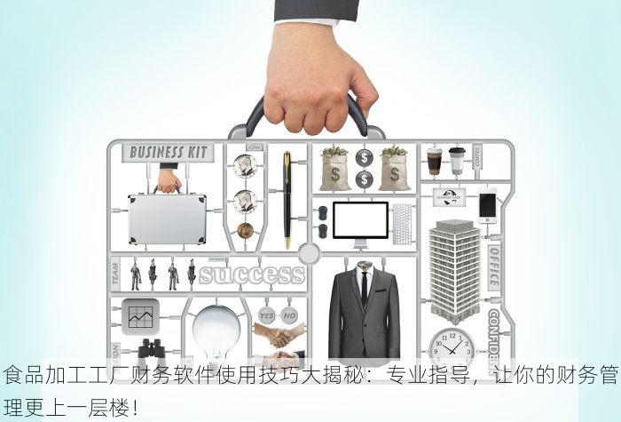 食品加工工厂财务软件使用技巧大揭秘：专业指导，让你的财务管理更上一层楼！