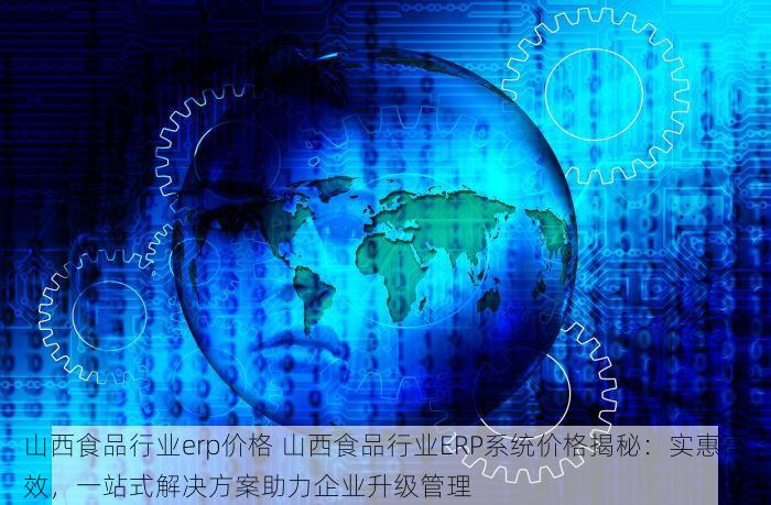 山西食品行业erp价格 山西食品行业ERP系统价格揭秘：实惠高效，一站式解决方案助力企业升级管理