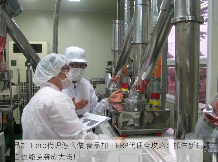食品加工erp代理怎么做 食品加工ERP代理全攻略：抓住新机遇，小白也能逆袭成大佬！
