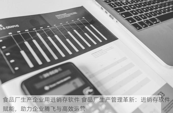 食品厂生产企业用进销存软件 食品厂生产管理革新：进销存软件赋能，助力企业腾飞与高效运营