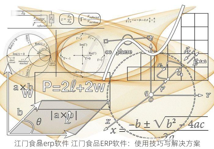 江门食品erp软件 江门食品ERP软件：使用技巧与解决方案