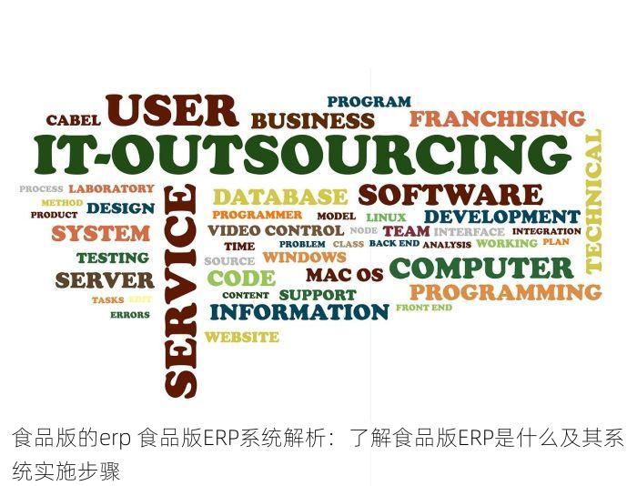 食品版的erp 食品版ERP系统解析：了解食品版ERP是什么及其系统实施步骤