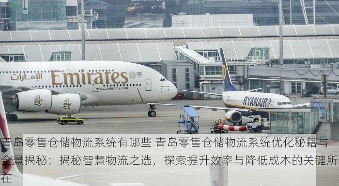 青岛零售仓储物流系统有哪些 青岛零售仓储物流系统优化秘籍与全景揭秘：揭秘智慧物流之选，探索提升效率与降低成本的关键所在