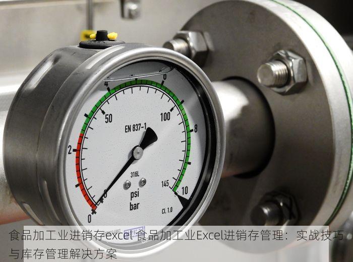 食品加工业进销存excel 食品加工业Excel进销存管理：实战技巧与库存管理解决方案