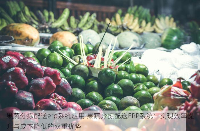 高效省时的果蔬生鲜配送管理软件，让您告别配送烦恼