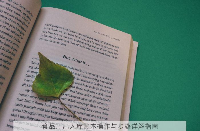 食品厂出入库账本操作与步骤详解指南