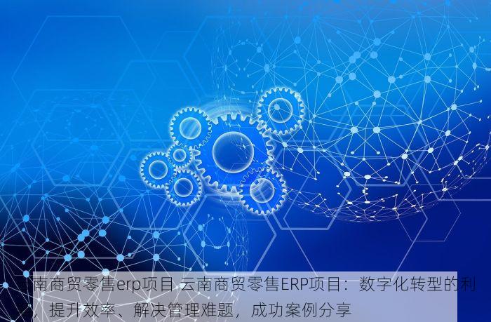 云南商贸零售erp项目 云南商贸零售ERP项目：数字化转型的利器，提升效率、解决管理难题，成功案例分享