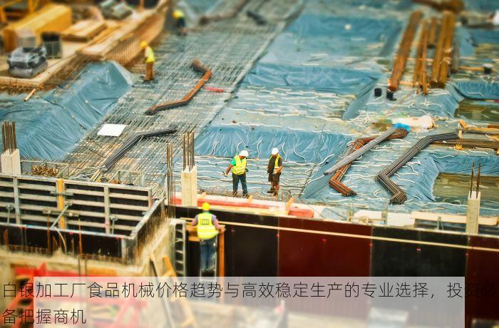 白银加工厂食品机械价格趋势与高效稳定生产的专业选择，投资必备把握商机