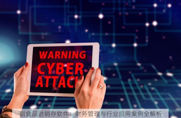 副食品进销存软件：财务管理与行业应用案例全解析