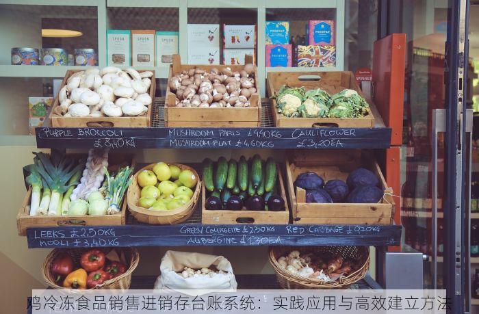 鸡冷冻食品销售进销存台账系统：实践应用与高效建立方法