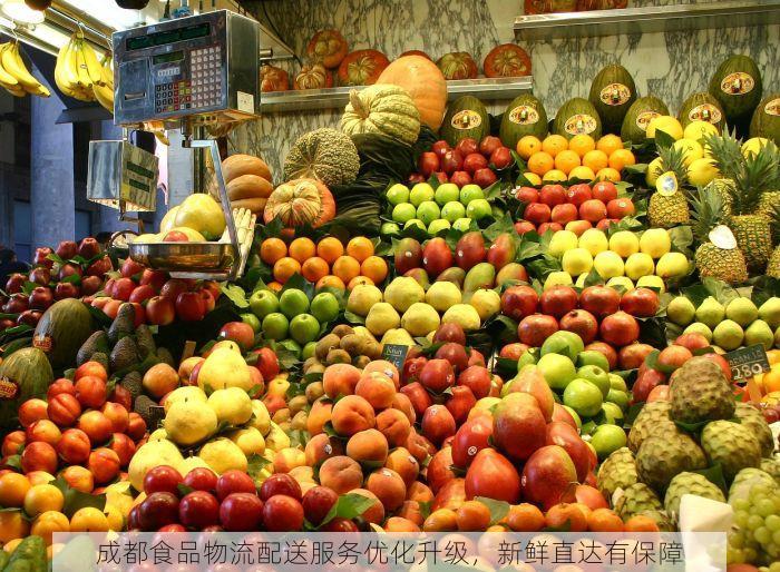 成都食品物流配送服务优化升级，新鲜直达有保障