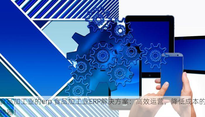 食品加工业的erp 食品加工业ERP解决方案：高效运营，降低成本的神器！