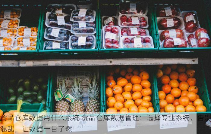 食品仓库数据用什么系统 食品仓库数据管理：选择专业系统，告别混乱，让数据一目了然！