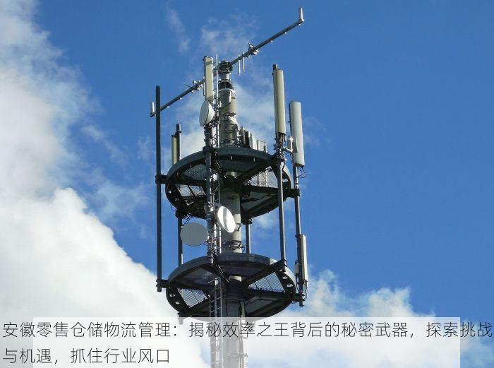安徽零售仓储物流管理：揭秘效率之王背后的秘密武器，探索挑战与机遇，抓住行业风口