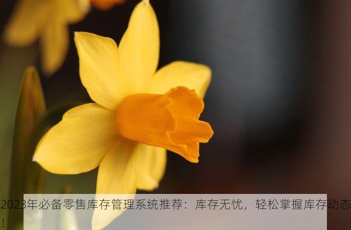 2023年必备零售库存管理系统推荐：库存无忧，轻松掌握库存动态！