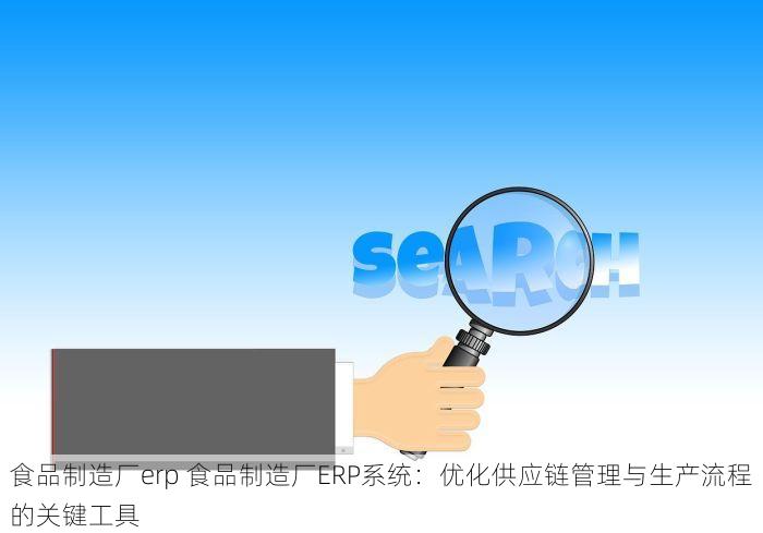 食品制造厂erp 食品制造厂ERP系统：优化供应链管理与生产流程的关键工具