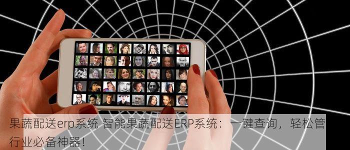 果蔬配送erp系统 智能果蔬配送ERP系统：一键查询，轻松管理，行业必备神器！