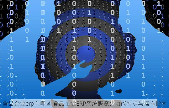 食品企业erp有哪些 食品企业ERP系统概览：功能特点与操作指南