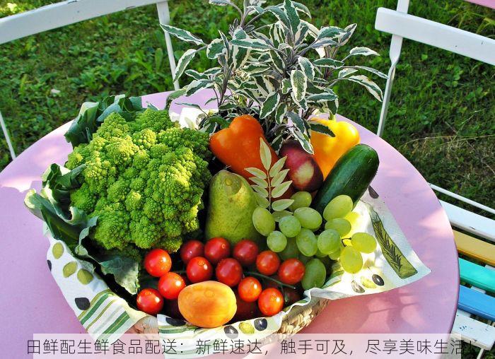 田鲜配生鲜食品配送：新鲜速达，触手可及，尽享美味生活！