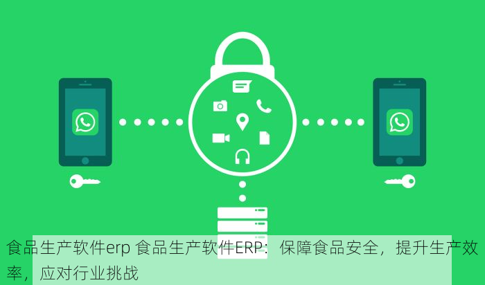 食品生产软件erp 食品生产软件ERP：保障食品安全，提升生产效率，应对行业挑战