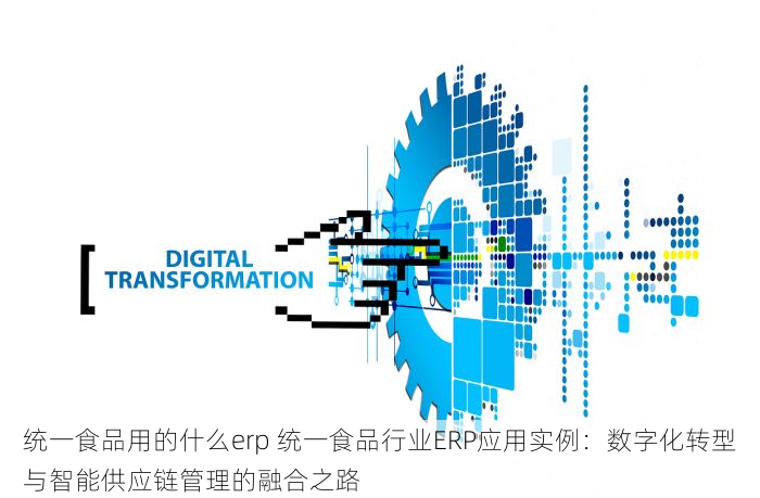 统一食品用的什么erp 统一食品行业ERP应用实例：数字化转型与智能供应链管理的融合之路