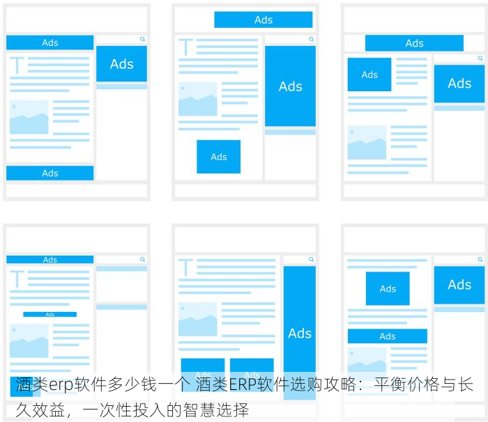 酒类erp软件多少钱一个 酒类ERP软件选购攻略：平衡价格与长久效益，一次性投入的智慧选择
