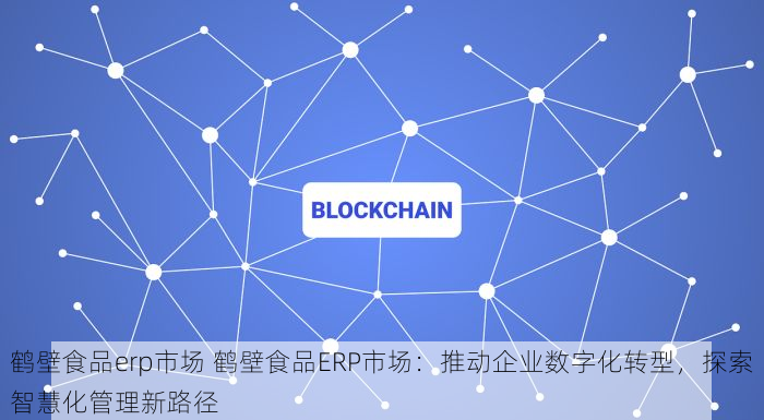 鹤壁食品erp市场 鹤壁食品ERP市场：推动企业数字化转型，探索智慧化管理新路径