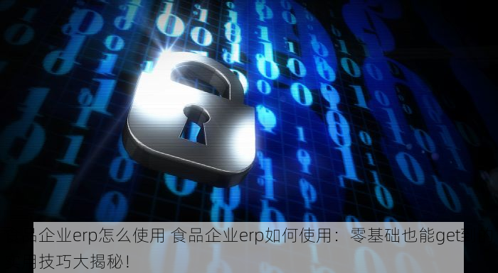 食品企业erp怎么使用 食品企业erp如何使用：零基础也能get到的实用技巧大揭秘！