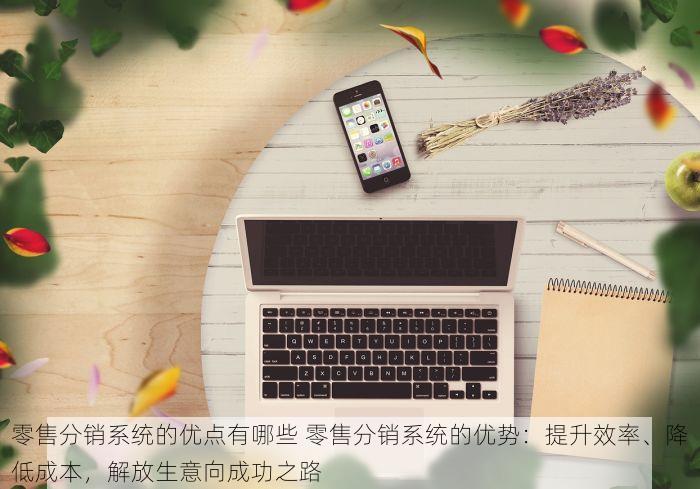 零售分销系统的优点有哪些 零售分销系统的优势：提升效率、降低成本，解放生意向成功之路