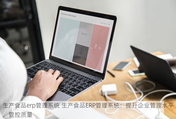 生产食品erp管理系统 生产食品ERP管理系统：提升企业管理水平，管控质量