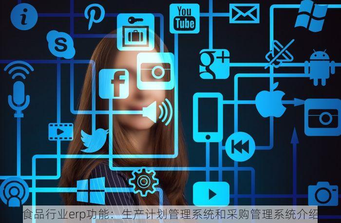 食品行业erp功能：生产计划管理系统和采购管理系统介绍