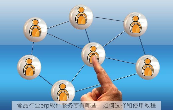 食品行业erp软件服务商有哪些，如何选择和使用教程