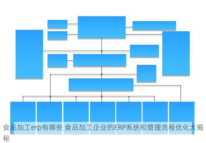 食品加工erp有哪些 食品加工企业的ERP系统和管理流程优化大揭秘
