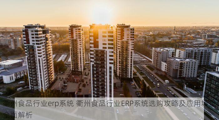衢州食品行业erp系统 衢州食品行业ERP系统选购攻略及应用场景全面解析