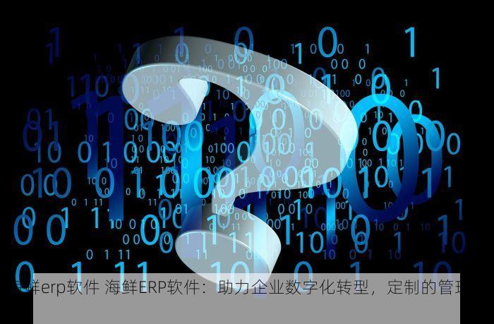 海鲜erp软件 海鲜ERP软件：助力企业数字化转型，定制的管理利器