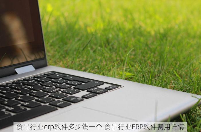 食品行业erp软件多少钱一个 食品行业ERP软件费用详情